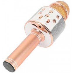 Mikrofon Karaoke WS-858