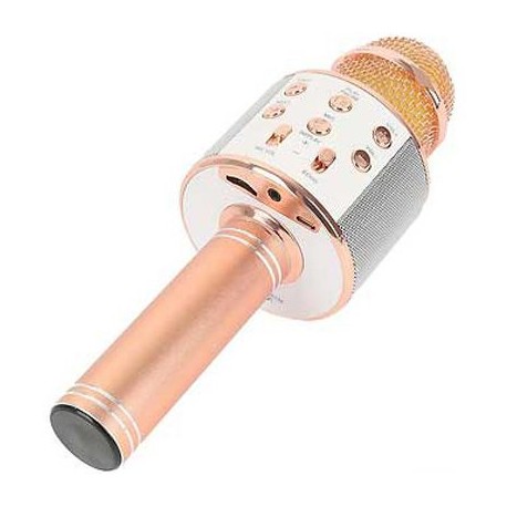 Mikrofon Karaoke WS-858
